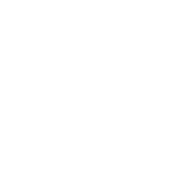 Campa Inc.